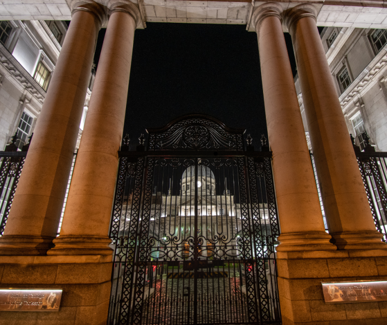 Leinster House, irish politics