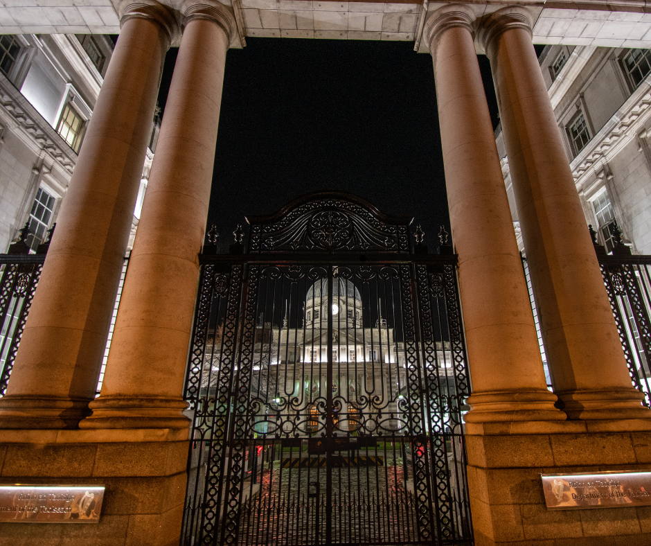 Leinster House, irish politics