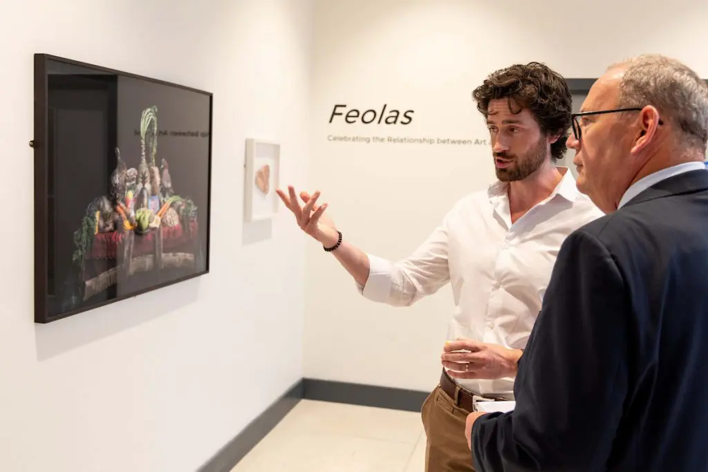 Cork’s Food Art Connection A Focus For ‘Feolas’
